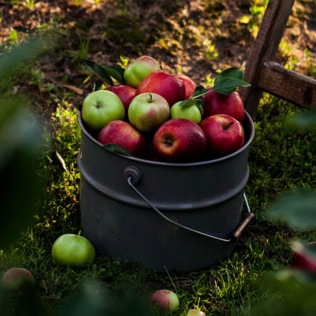 果汁品牌視覺(jué)設(shè)計(jì) 果汁品牌視覺(jué)設(shè)計(jì)